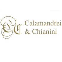 med_Calamandrei-_-Chianini